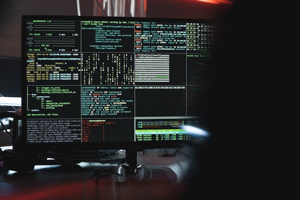 Statistical Programming & Automation